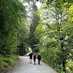 Vakn Opp Til Fantastisk Utsikt Bergen