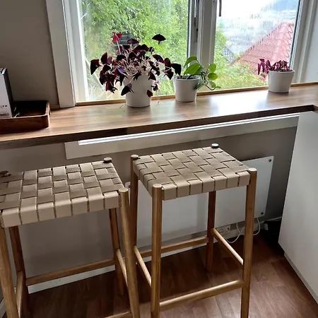 Vakn Opp Til Fantastisk Utsikt * ベルゲン