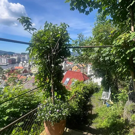 Vakn Opp Til Fantastisk Utsikt Apartment *