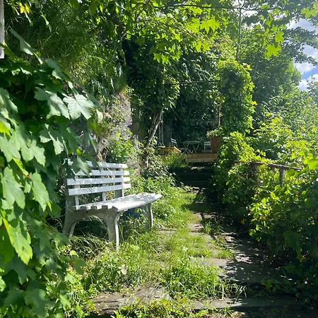Vakn Opp Til Fantastisk Utsikt * Bergen