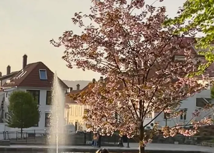 Vakn Opp Til Fantastisk Utsikt Apartament