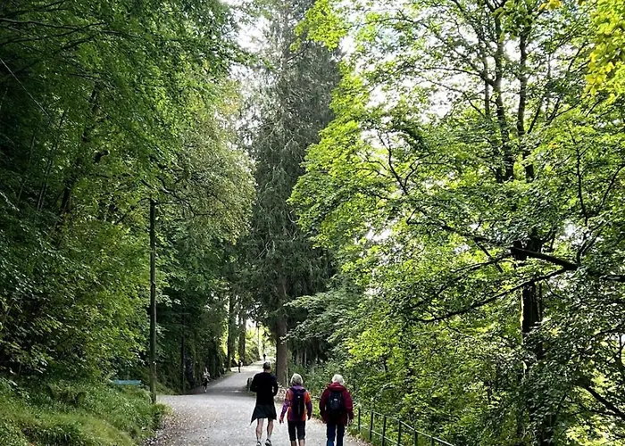 Vakn Opp Til Fantastisk Utsikt Bergen